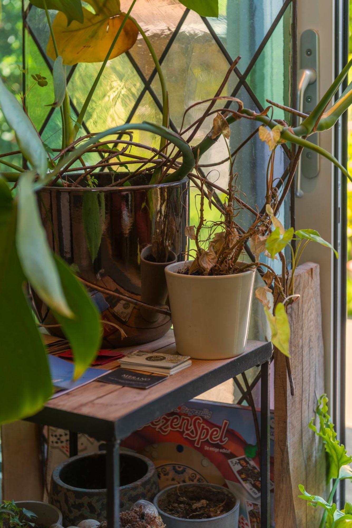 Cozy House - Leenfietsen, Eigen Keuken En Badkamer Nijmegen Luaran gambar